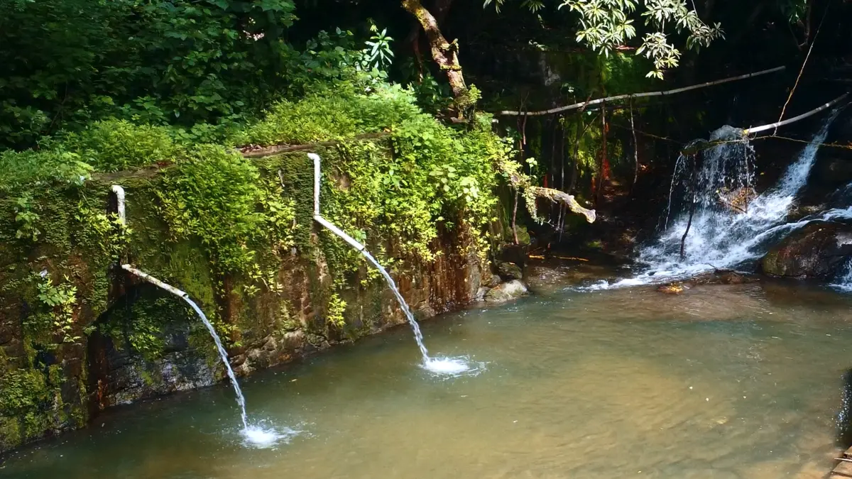Bicas de água jorrando de um paredão coberto de vegetação sobre um pequeno lago